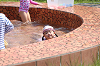 202507summer0371_thumb.png