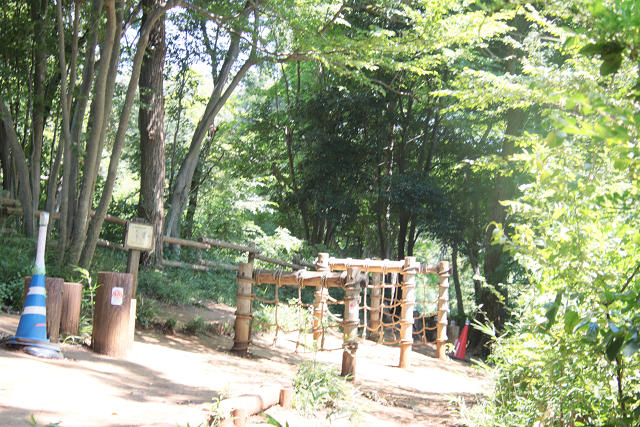 2025camp0154.jpg
