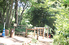 2025camp0154_thumb.png