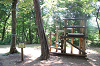 2025camp0184_thumb.png