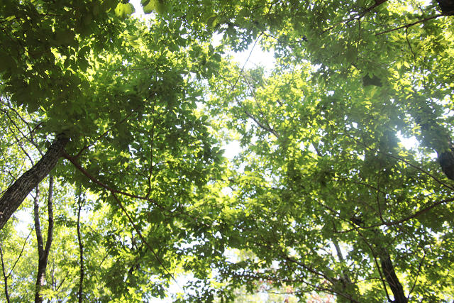 2025camp0333.jpg