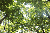 2025camp0333_thumb.png