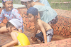 2025camp0542_thumb.png