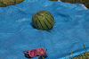 2025camp0727_thumb.png