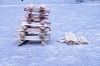 2025camp1280_thumb.png