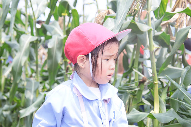 202507corn0119.jpg