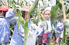 202507corn0197_thumb.png