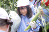 202507corn0254_thumb.png