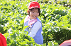 202511daikon0032_thumb.png