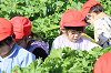 202511daikon0040_thumb.png