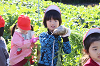202511daikon0251_thumb.png