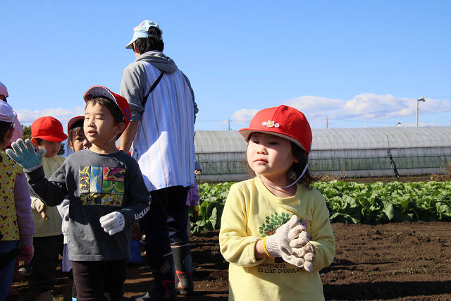 202511daikon0283.jpg