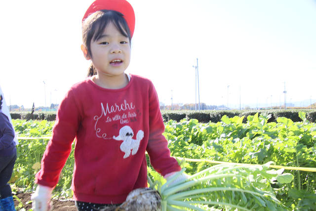 202511daikon0316.jpg