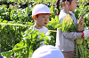 202511daikon0329_thumb.png