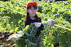 202511daikon0430_thumb.png