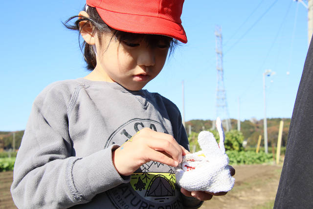 202511daikon0459.jpg