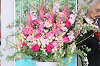 202603sotuen0023_thumb.png