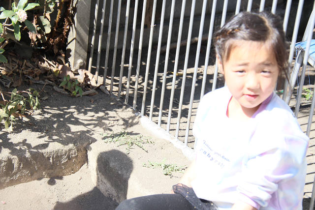 202603splay0113.jpg