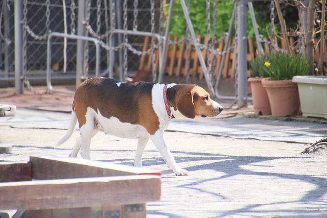 202603splay0218.jpg