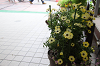 202604hinan0004_thumb.png