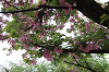 202604hinan0010_thumb.png