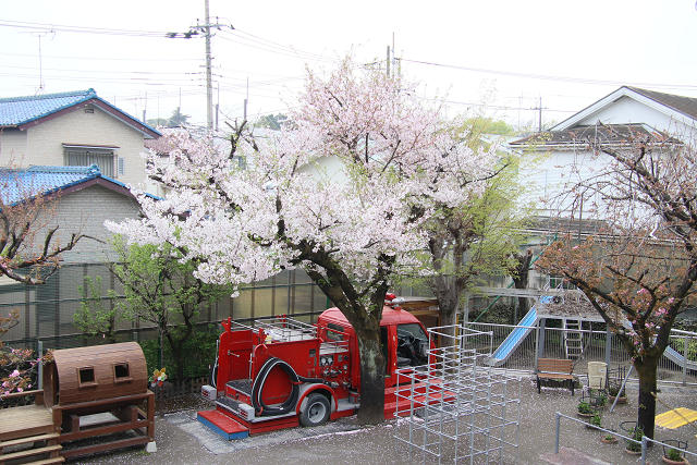 202604nyuen0024.jpg