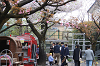 202604nyuen0633_thumb.png