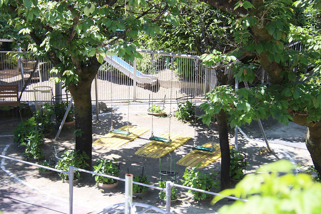 202605otanjo0024.jpg