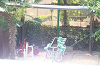 202605otanjo0026_thumb.png