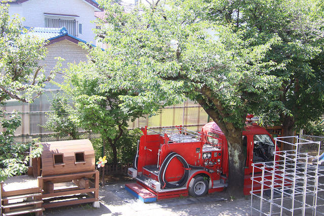 202605otanjo0027.jpg