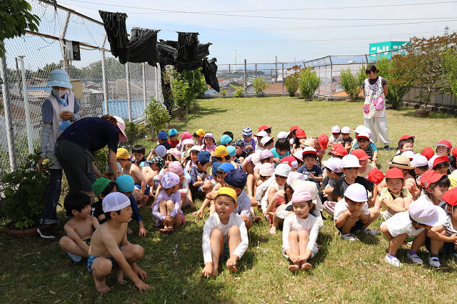 202606puruhiraki0308.jpg