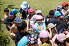 202606puruhiraki0311_thumb.png