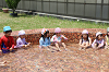 202606puruhiraki0326_thumb.png