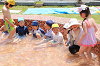 202606puruhiraki0345_thumb.png