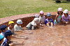 202606puruhiraki0351_thumb.png