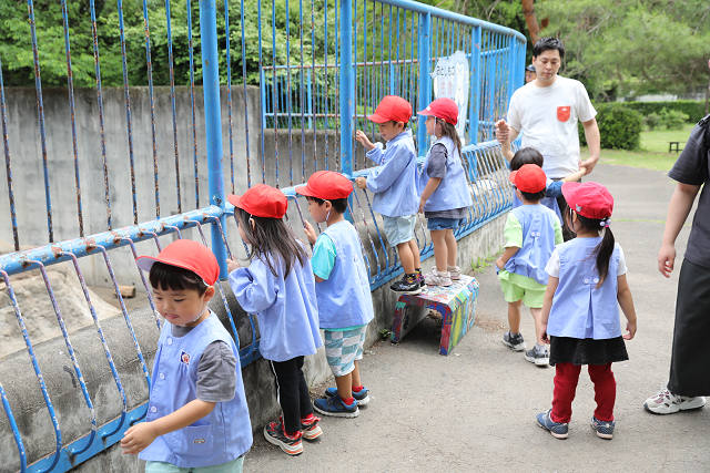 202606Bchikouzan0436.jpg