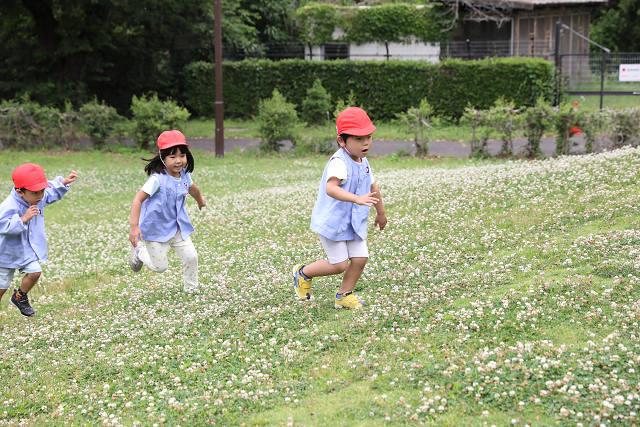 202606Bchikouzan0468.jpg