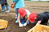 202606poteto0446_thumb.png