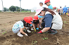 202606poteto0448_thumb.png