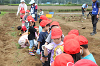 202606poteto0452_thumb.png