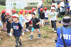 202606poteto0459_thumb.png