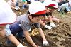 202606poteto0473_thumb.png
