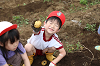 202606poteto0476_thumb.png