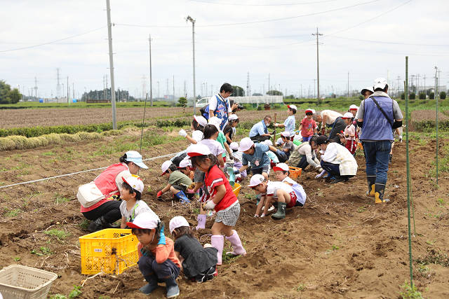 202606poteto0485.jpg