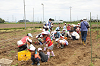 202606poteto0485_thumb.png