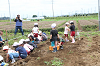 202606poteto0487_thumb.png