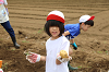 202606poteto0488_thumb.png