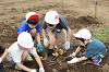 202606poteto0492_thumb.png