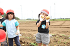 202606poteto0516_thumb.png