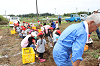 202606poteto0533_thumb.png